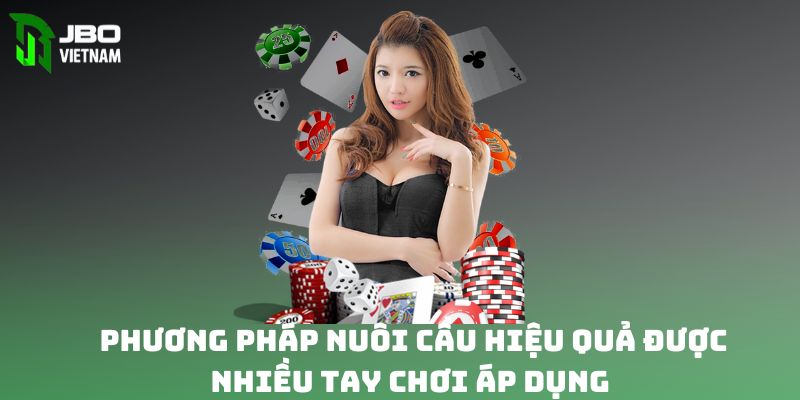 Phương pháp nuôi cầu hiệu quả được nhiều tay chơi áp dụng 